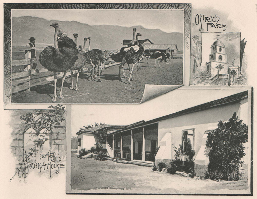 Southern California. Albertype print 1893 old antique vintage picture